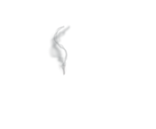 Currywok white logo